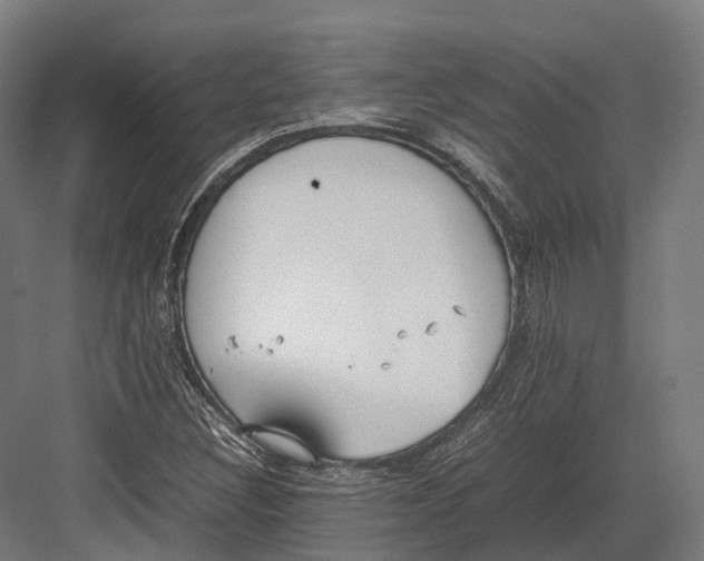 X0000082691308200702161714