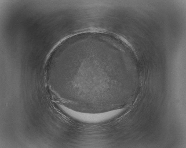 X0000082691310200702161714