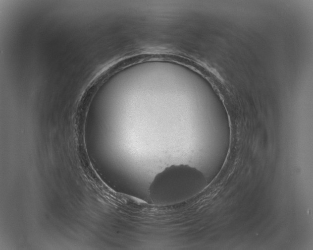 X0000082691311200702161714