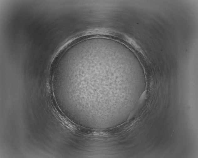 X0000082691312200702161714