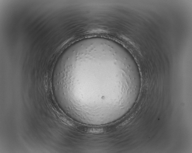 X0000082691313200702161714