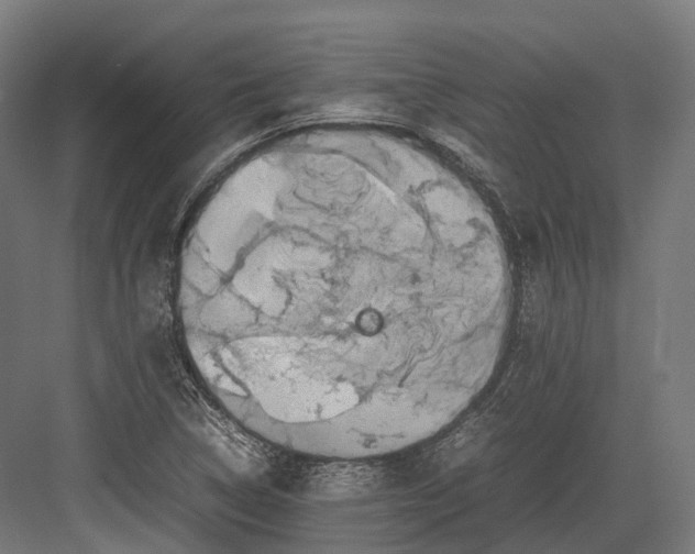 X0000082691314200702161714