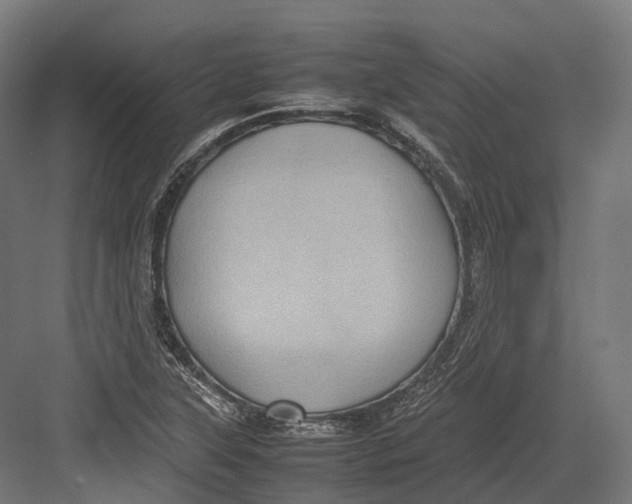 X0000082691315200702161714