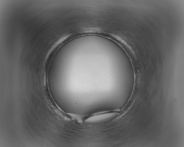 X0000082691317200702161714