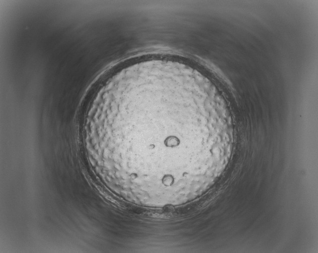 X0000082691318200702161714