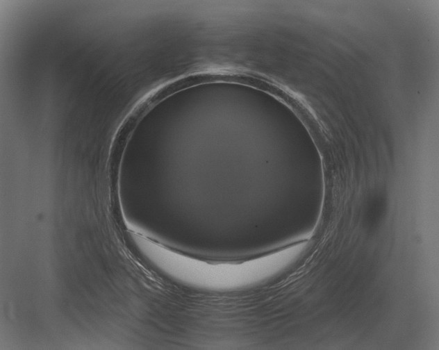 X0000082691319200702161714