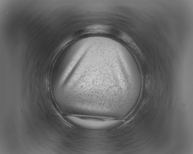 X0000082691321200702161714