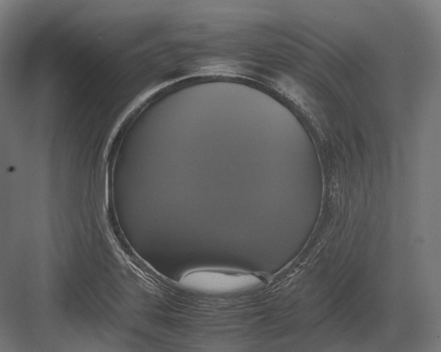 X0000082691323200702161714