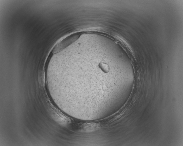 X0000082691324200702161714