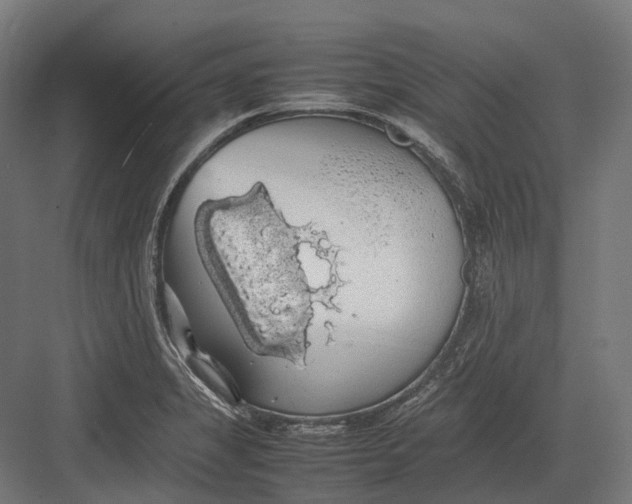 X0000082691325200702161714