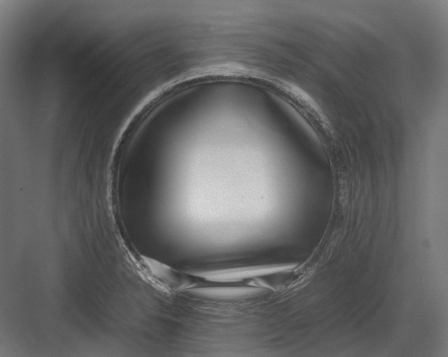 X0000082691326200702161714