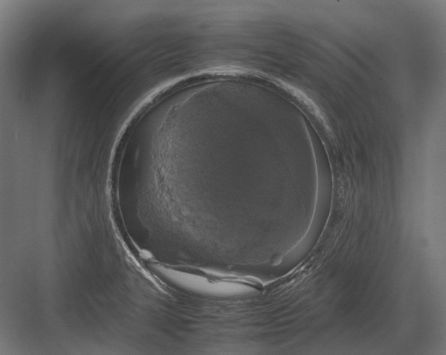 X0000082691327200702161714