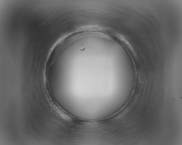 X0000082691328200702161714