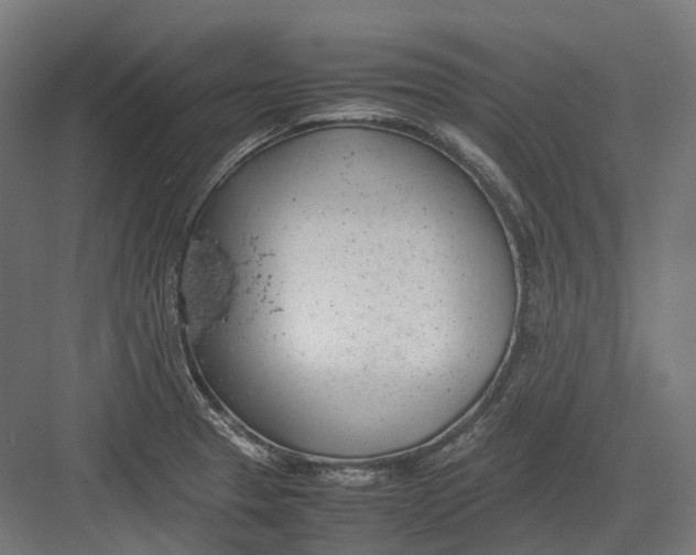 X0000082691329200702161714