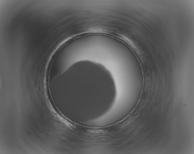 X0000082691331200702161714