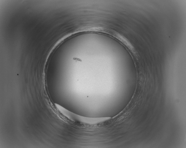 X0000082691332200702161714