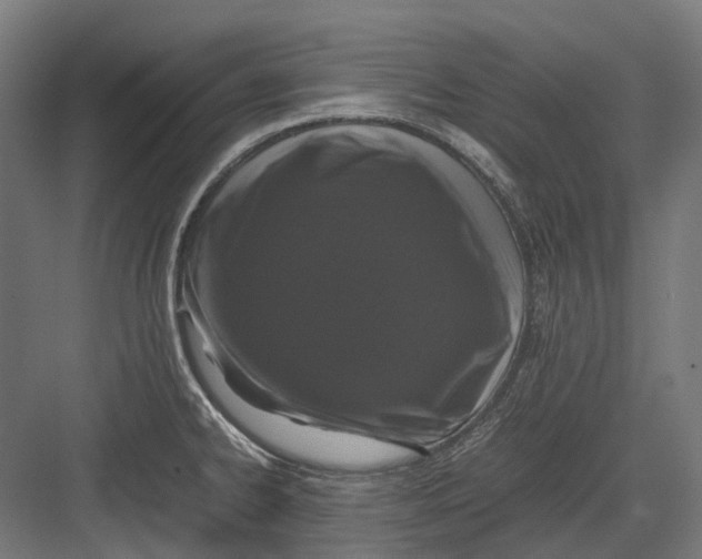 X0000082691334200702161714