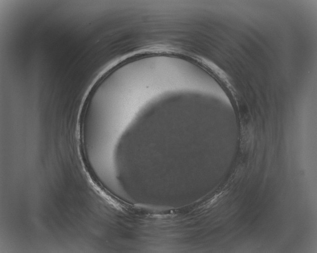 X0000082691335200702161714