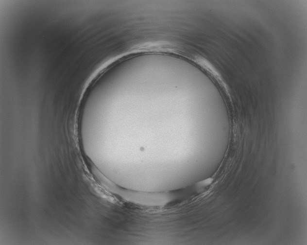 X0000082691336200702161714