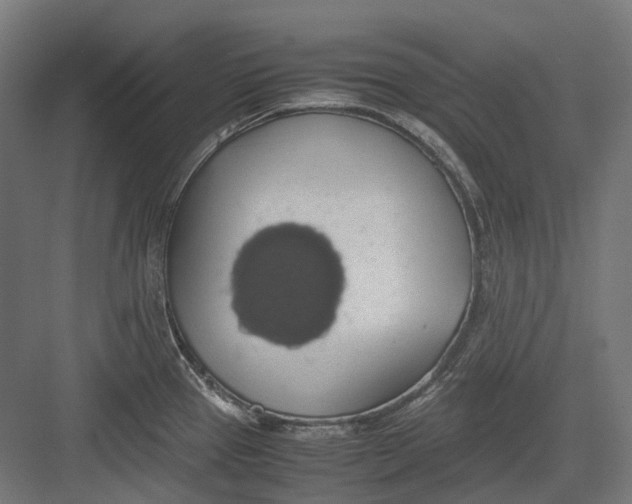 X0000082691337200702161714