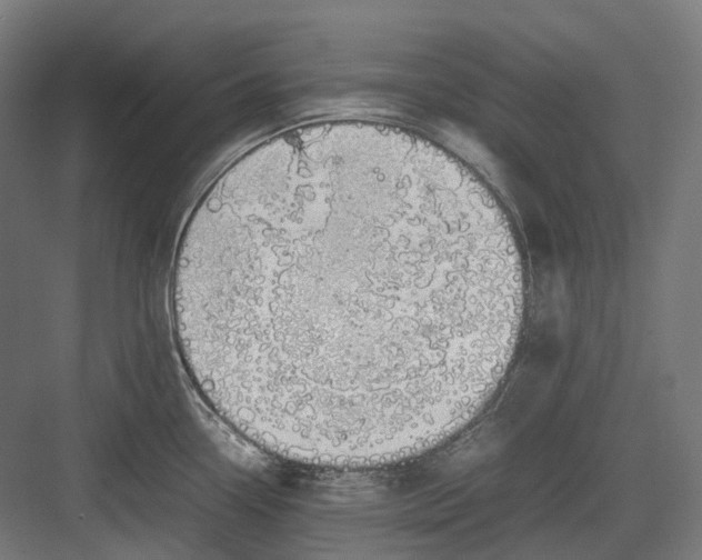 X0000082691338200702161714