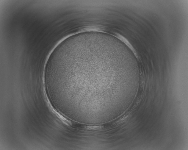 X0000082691339200702161714