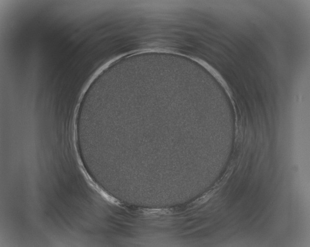 X0000082691341200702161714