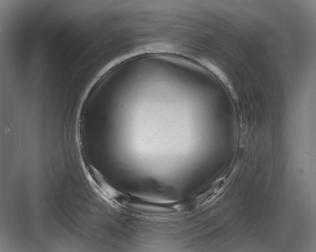 X0000082691342200702161714