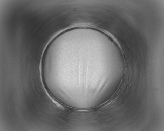 X0000082691343200702161714