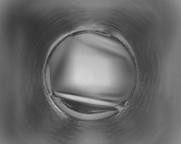 X0000082691344200702161714