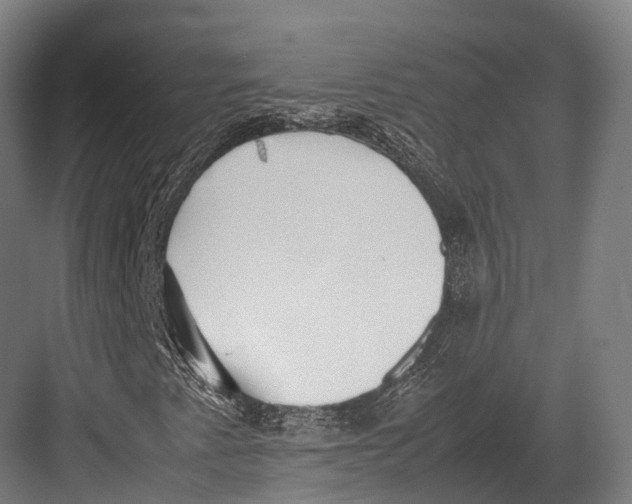 X0000082691345200702161713