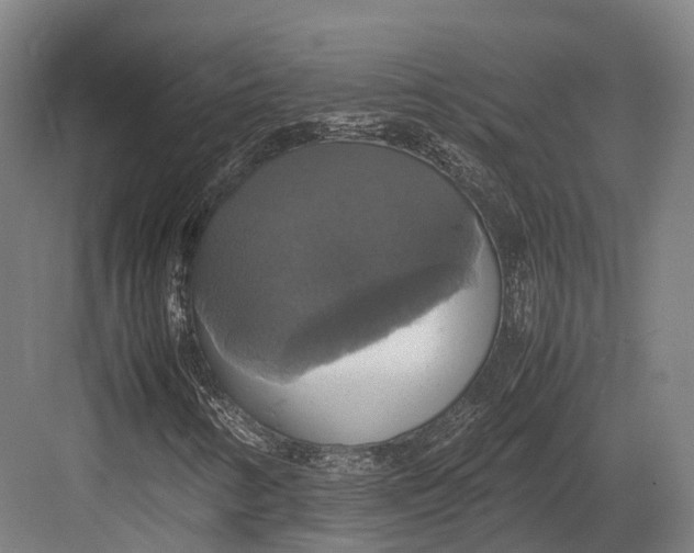 X0000082691346200702161713