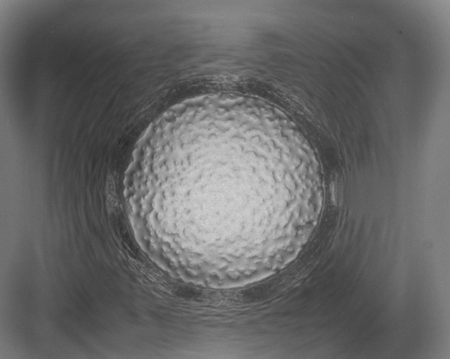 X0000082691347200702161713