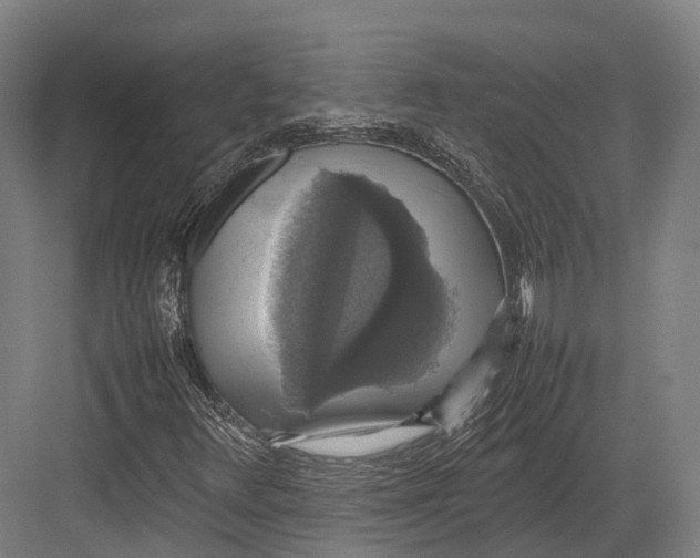 X0000082691348200702161713