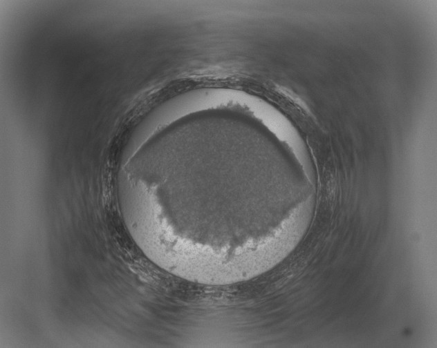 X0000082691350200702161713