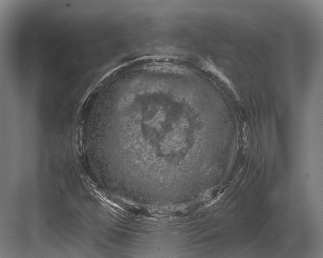 X0000082691352200702161713