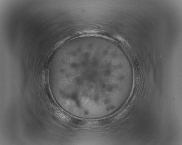 X0000082691353200702161713