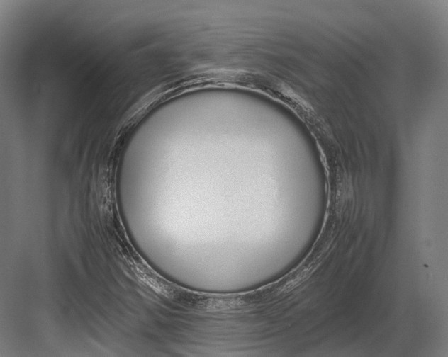 X0000082691354200702161713