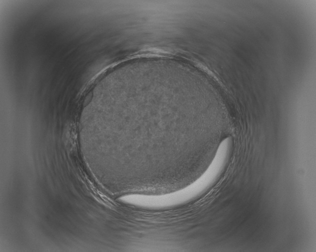 X0000082691355200702161713