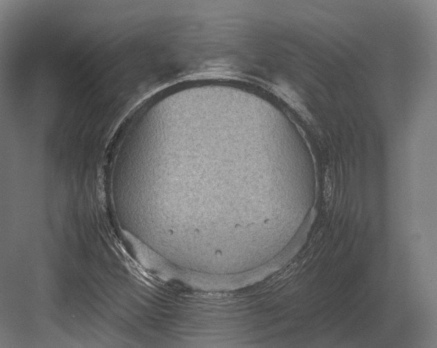 X0000082691356200702161713