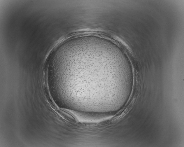 X0000082691357200702161713