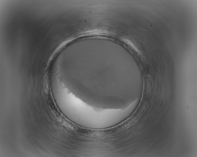 X0000082691358200702161713