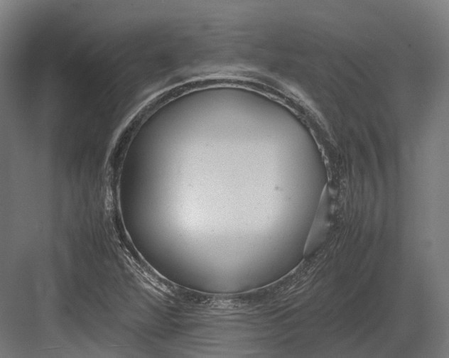 X0000082691360200702161713