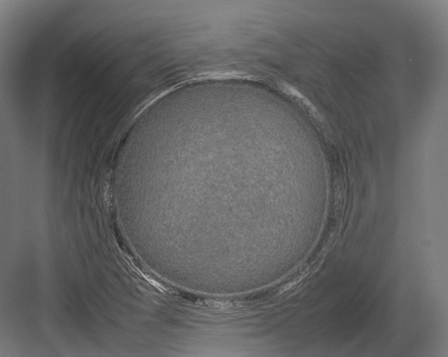 X0000082691361200702161713