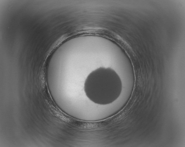 X0000082691362200702161713