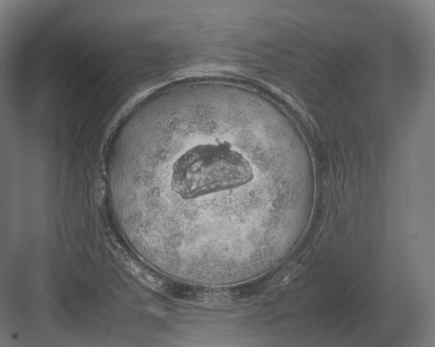 X0000082691363200702161713