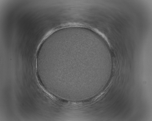 X0000082691365200702161713