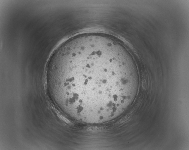 X0000082691366200702161713