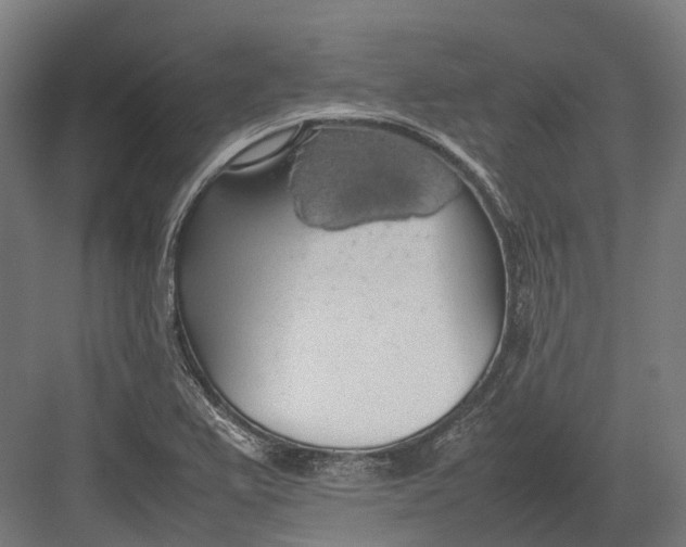 X0000082691367200702161713