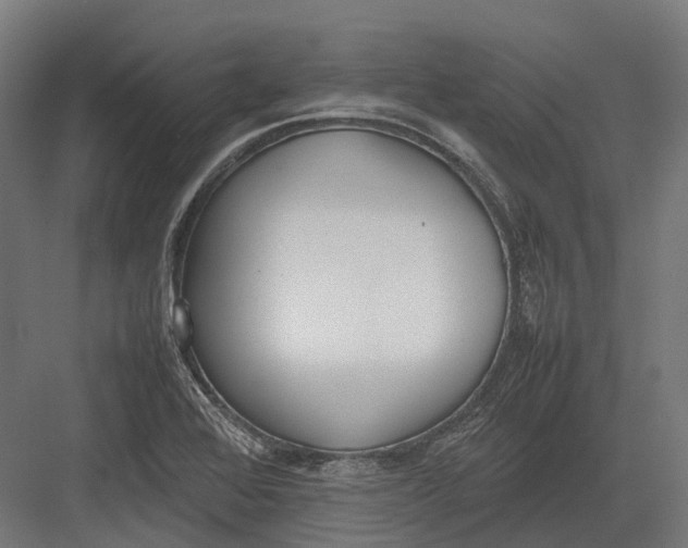 X0000082691368200702161713